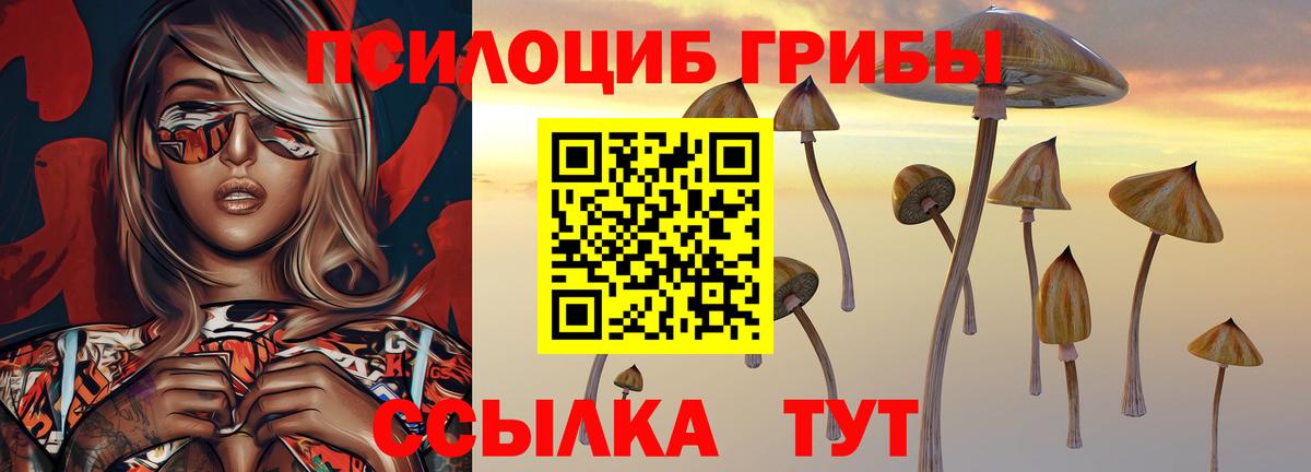 Галлюциногенные грибы MAGIC MUSHROOMS Воскресенск